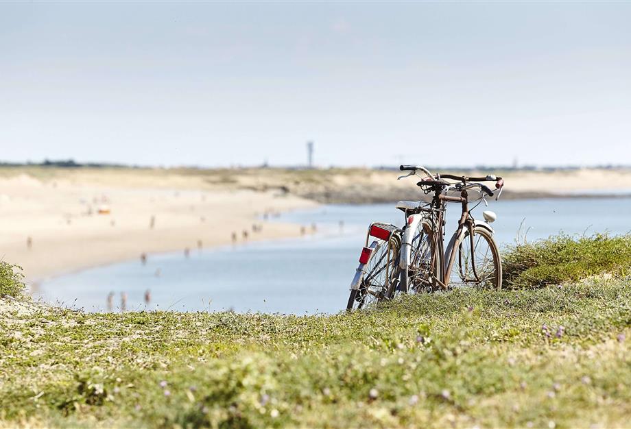 discover the Vendée by bike - CAMPING*** Les Sirènes